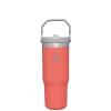 Becher mit Strohhalm 0,89 l guava | A179407