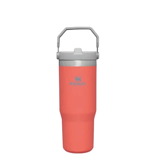 Becher mit Strohhalm 0,89 l guava | A179407