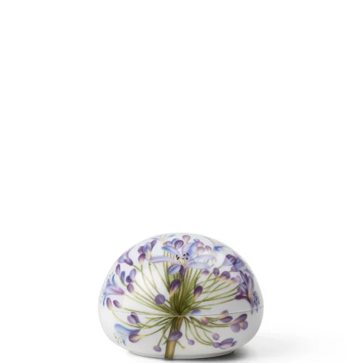 Bonbonniere Agapanthus | A187588