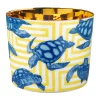 Champagnerbecher Beautiful Creatures The Turtles | A201254