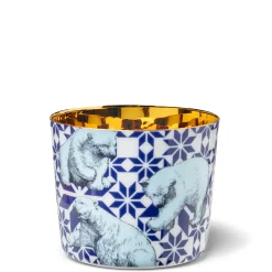 Champagnerbecher Beautiful Creatures The Polar Bears | A104542