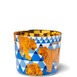 Champagnerbecher Beautiful Creatures The Tigers | A105364