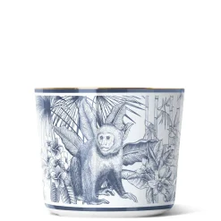 Champagnerbecher Paraiso Blue Monkey | A105956