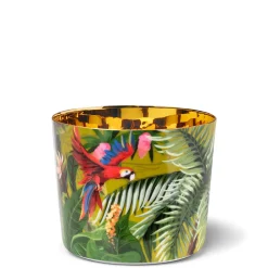 Champagnerbecher Paraiso Jungle | A105942