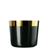 Champagnerbecher schwarz glatt | A100234