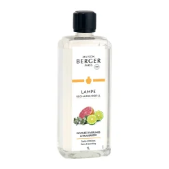 Duft Citrus Breeze 1,00 l | A190039