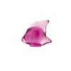 Fisch fuchsia 'Poisson' | fuchsia | A101691