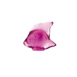Fisch fuchsia 'Poisson' | fuchsia | A101691