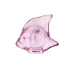 Fisch rose 'Poisson' | rose | A101517