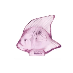 Fisch rose 'Poisson' | rose | A101517