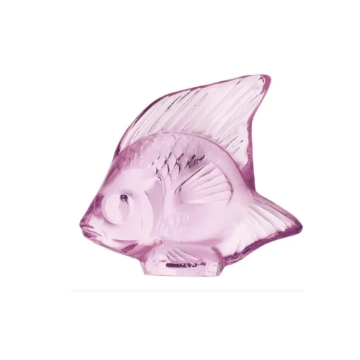 Fisch rose 'Poisson' | rose | A101517