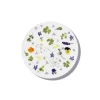 Frühstücksteller 21 cm | A115069