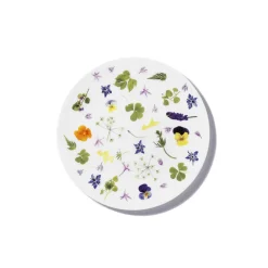 Frühstücksteller 21 cm | A115069