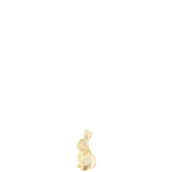 Hase Toulouse gold | A100863