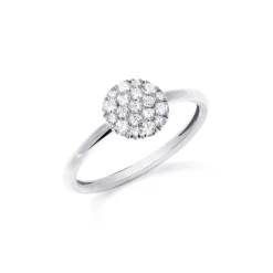 Ring rund Weißgold 750/- Diamaten 0,30 ct G VS W55 | A139085