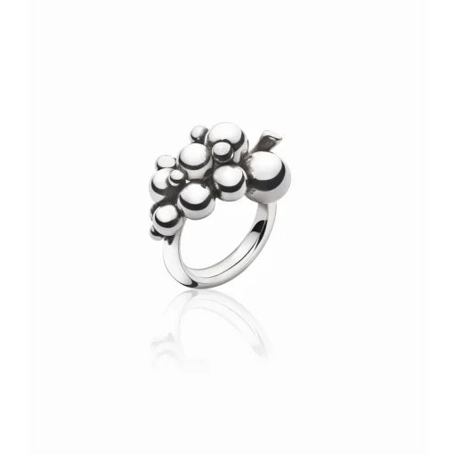 Ring Sterlingsilber 925 W56 | A114521