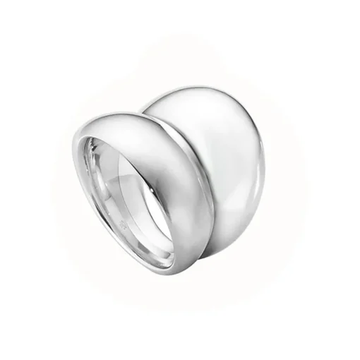 Ring Sterlingsilber 925 W58 | A116625