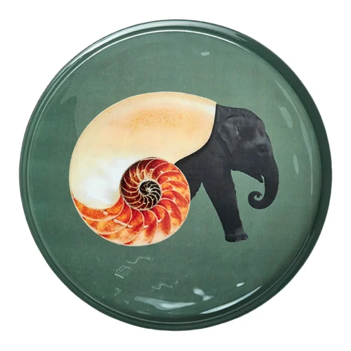 Tablett rund 33 cm Shellephant | A149845