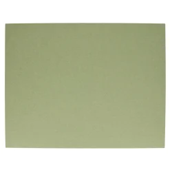 Tischset rechteckig 45x35 cm pistazie 48 | A168492